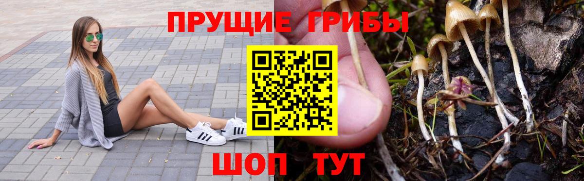 наркошоп  Вход с VPN  Клин  Псилоцибиновые грибы мухоморы 
